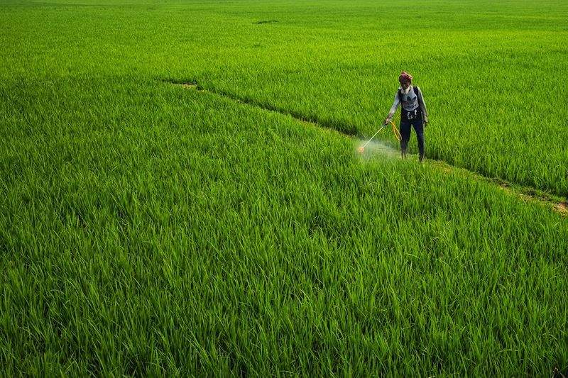 Improving Crop Health Through Better Nutrient Management