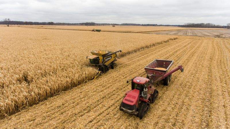 Greenfield Harvest Solutions Ltd 11