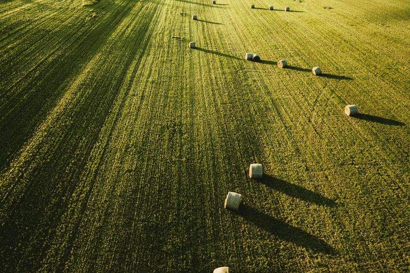 Greenfield Harvest Solutions Ltd 5